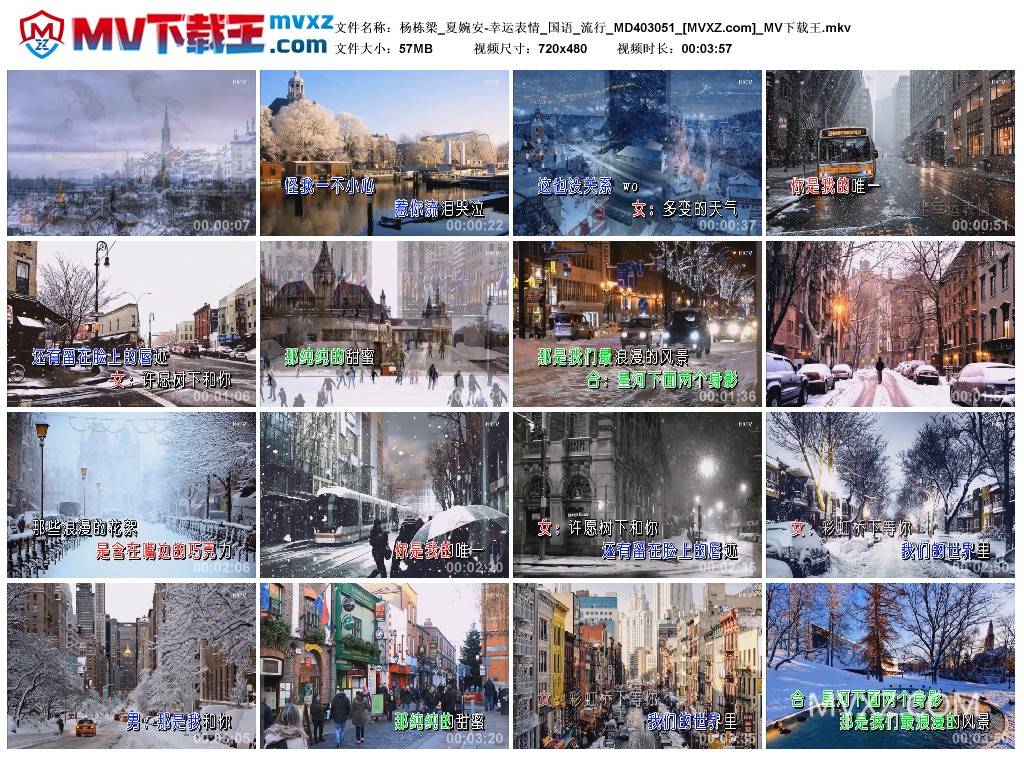 杨栋梁_夏婉安-幸运表情_国语_流行_MD403051